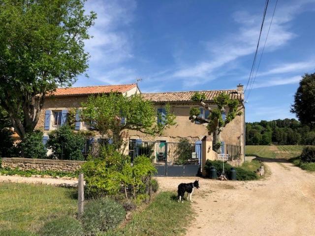 Mas De Costebelle Bed and Breakfast Bollène Buitenkant foto